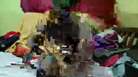 Snapshot of spicy_bella69 chatting on May 2026 12:01:02 PM spicy_bella69 online show from May 2026 12:01:02 PM