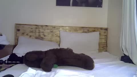 Splasher online show from January 2026 11:47:01 AM