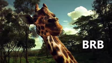 Snapshot of sport_tall_karina chatting on January 2025 09:02:02 AM Karina online show from January 2025 09:02:02 AM