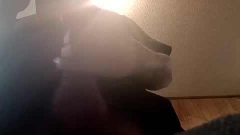 spundsrt online show from February 2025 12:48:01 PM