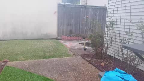 srtxshow online show from February 2025 03:20:01 PM