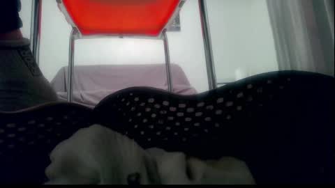 ssenzo online show from January 2025 10:35:01 PM