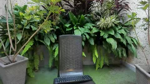 STAAR HOT online show from February 2026 12:26:02 PM