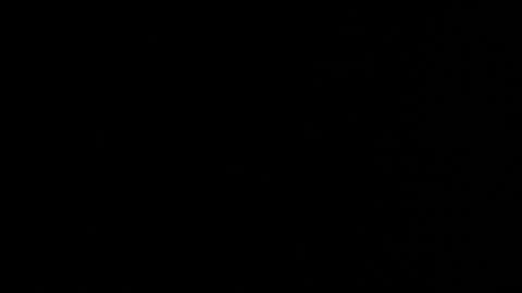 Stacy  online show from March 2026 02:39:02 PM