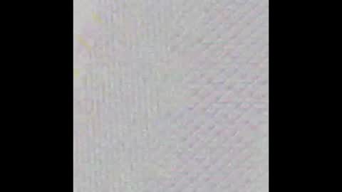 Stacy online show from January 2025 12:20:02 PM