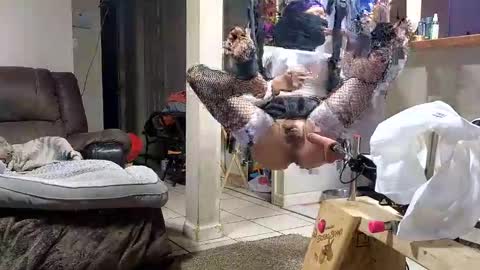 Snapshot of stacytasteme chatting on November 2025 07:20:01 AM Submissive Slut LOVES adoration online show from November 2025 07:20:01 AM