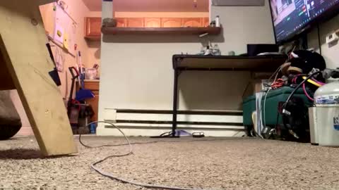 Snapshot of stacytasteme chatting on February 2026 04:41:01 PM Submissive Slut LOVES adoration online show from February 2026 04:41:01 PM