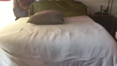 Snapshot of staloney21 chatting on February 2026 03:49:02 PM staloney online show from February 2026 03:49:02 PM