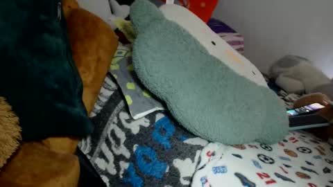 Star online show from December 2024 08:01:02 PM