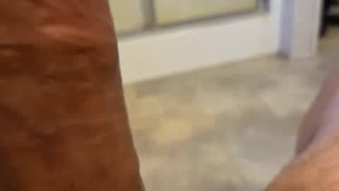 stareyes0249 online show from September 2025 10:32:01 PM