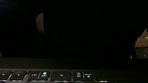 stargazer1069 online show from November 2025 09:52:02 AM