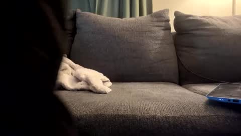 starr3095 online show from September 2025 01:46:01 PM