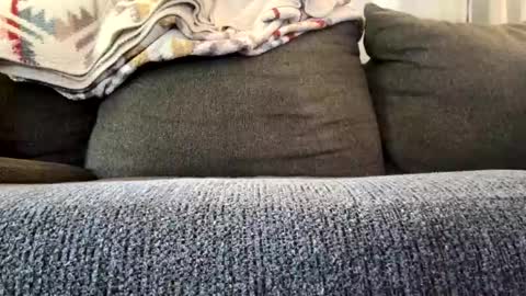 starr3095 online show from November 2025 03:22:01 PM