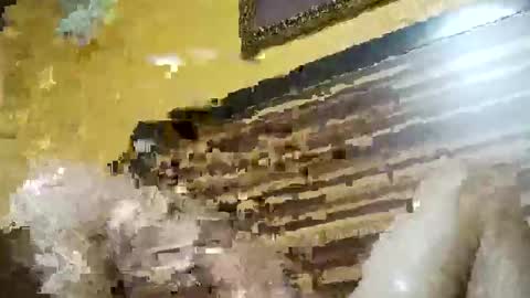 Snapshot of stchelly627 chatting on March 2026 06:28:01 AM stchelly627 online show from March 2026 06:28:01 AM