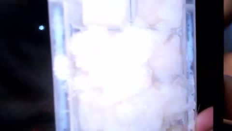 stealth1337 online show from March 2026 02:24:01 PM