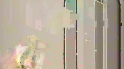 Snapshot of steedmont chatting on November 2025 11:31:01 PM steedmont online show from November 2025 11:31:01 PM