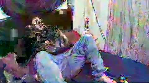 steeldaddybear online show from March 2026 12:37:02 AM