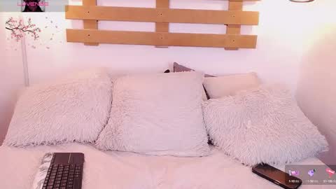 Snapshot of steev_novoa chatting on February 2025 10:24:02 AM Steev online show from February 2025 10:24:02 AM