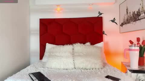 Snapshot of steev_novoa chatting on February 2026 04:05:02 AM Steev online show from February 2026 04:05:02 AM