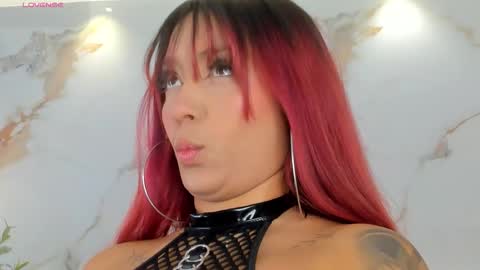    online show from November 2025 12:00:02 PM