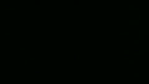 steflab online show from February 2026 10:57:01 AM