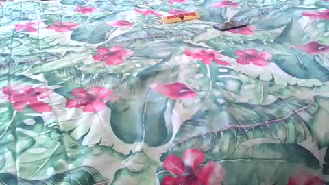 Rocco-load online show from April 2026 02:14:01 PM