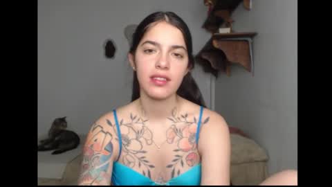 Snapshot of stella_art chatting on February 2026 02:40:01 AM Stella online show from February 2026 02:40:01 AM