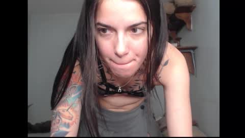 Snapshot of stella_art chatting on February 2026 02:08:02 AM Stella online show from February 2026 02:08:02 AM