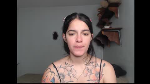 Snapshot of stella_art chatting on February 2026 06:26:01 AM Stella online show from February 2026 06:26:01 AM