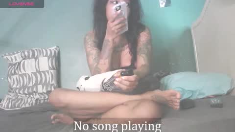 Snapshot of stella_clitella chatting on September 2025 11:37:01 AM Stella Clitella online show from September 2025 11:37:01 AM