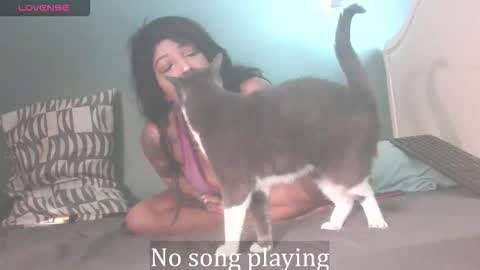 Snapshot of stella_clitella chatting on October 2025 11:40:02 AM Stella Clitella online show from October 2025 11:40:02 AM