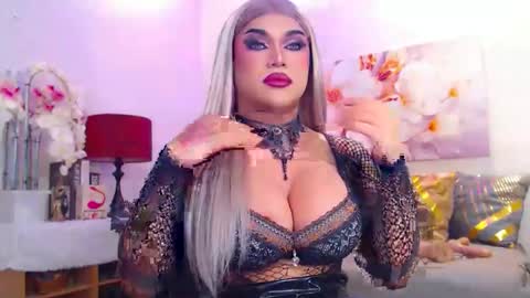 Snapshot of stellagrayts chatting on November 2025 03:17:01 AM CALL ME STELLA online show from November 2025 03:17:01 AM