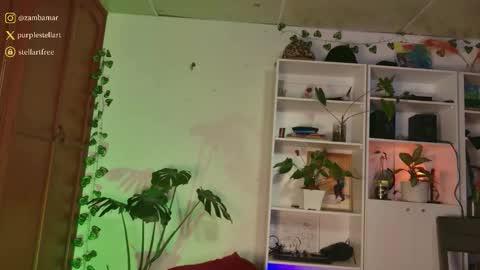 stellart_ online show from December 2025 01:57:02 AM