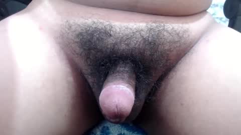 Stellaven online show from December 2024 06:53:01 AM