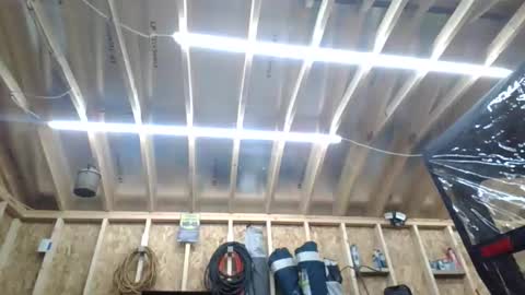 steved6001 online show from March 2026 07:50:02 PM