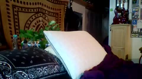 steviehard7 online show from February 2025 05:15:02 AM