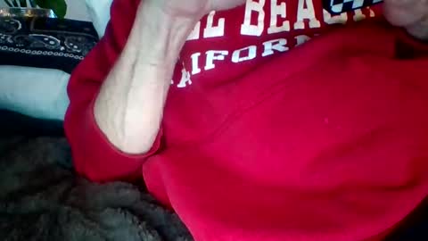 steviehard7 online show from February 2025 03:54:01 AM