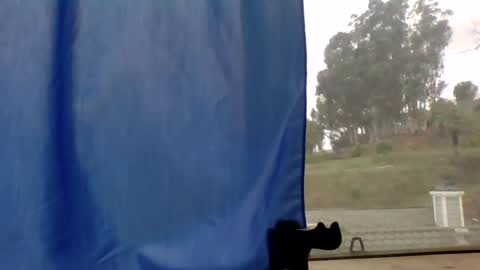 steviehard7 online show from March 2025 04:51:02 PM