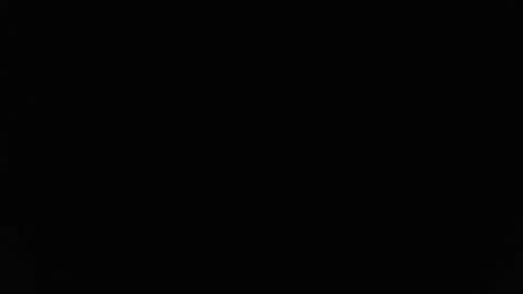 Snapshot of stewpididiot chatting on February 2026 09:09:02 PM Stew Pididiot online show from February 2026 09:09:02 PM
