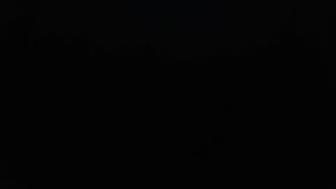 stonenipple online show from October 2025 07:55:01 PM