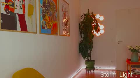 Stormi online show from February 2026 08:13:01 PM