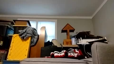 Streetwyze online show from October 2025 12:34:02 PM