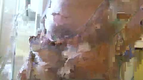 straightstroker81 online show from December 2024 06:58:01 AM