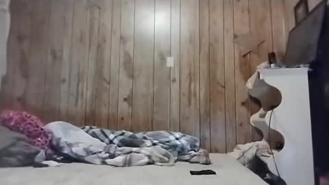 straighttoy online show from March 2025 05:09:01 AM