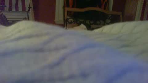 stratocatster online show from January 2025 02:39:01 AM