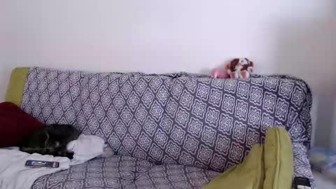 Strawberrylotsacake online show from March 2026 01:49:02 PM