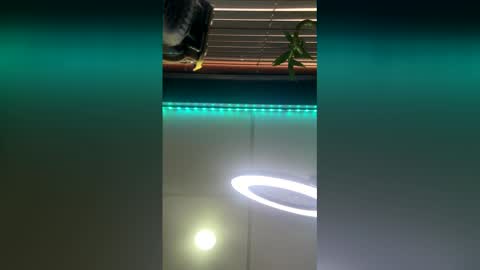 strong_rock69 online show from March 2026 10:42:01 PM