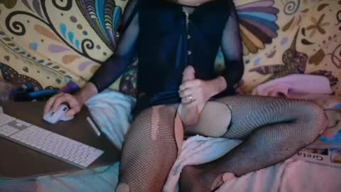 stseal3 online show from April 2026 04:21:02 AM