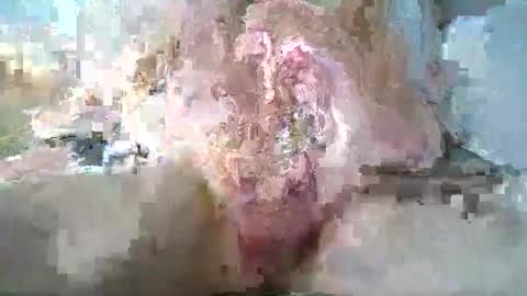 stthomasyr online show from May 2026 01:36:01 AM