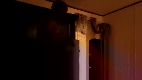 studd77637299 online show from November 2025 03:48:01 AM